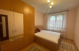 Casa individuala, 72 mp, 50 mp curte, pet friendly, zona strazii Decebal