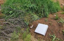 Teren cu proiect autorizat pentru o casa cuplata, 550mp, zona Tauti