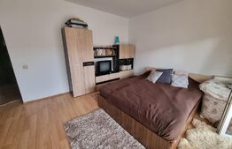 Garsoniera decomandata, 32mp, parcare cu CF inclusa, zona Eroilor