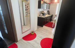 Apartament cu 2 camere, 40 mp, Predeal