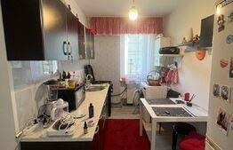 Apartament cu 2 camere, 40 mp, Predeal