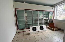 Spatiu comercial, pretabil magazin 55 mp, parcare, Stejarului 