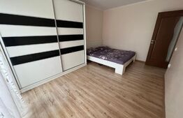 Apartament spatios, 3 camere, 70 mp, zona Porii