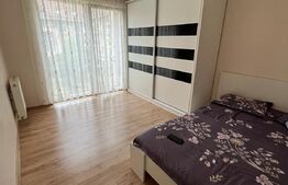 Apartament spatios, 3 camere, 70 mp, zona Porii