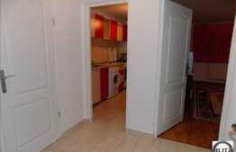 1 camera, 40 mp, imobil nou, mobilat modern, zona Calea Turzii!