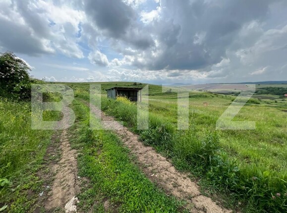 Teren de vânzare Deuşu - 118341TV | BLITZ Cluj-Napoca | Poza2