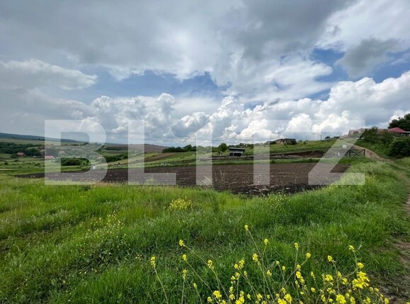 Teren de vânzare Deuşu - 118341TV | BLITZ Cluj-Napoca | Poza3