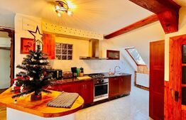 Apartament de 3 camere, 150mp, Centrul Istoric