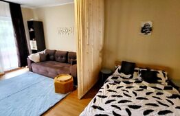 Apartament cu 1 camera, 43 mp+balcon, etaj 1, Floresti