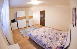 2 camere, decomandate, 90 mp, gradina, zona Fabricii de Bere