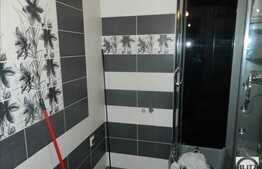 Mansarda inalta 50 mp, decomandata, balcon, terasa de 15 mp,zona Porii! Parcare!