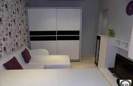 Garsoniera de revista, 22 mp, mobilata si utilata, zona Aleea Garbau!