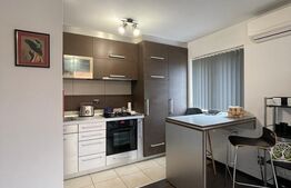 Exclusivitate ! Comision 0% ! Apartament mobilat si utilat, 2 camere , 52 mp , Muzeul Apei 