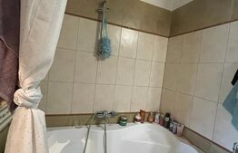 Exclusivitate ! Comision 0% ! Apartament mobilat si utilat, 2 camere , 52 mp , Muzeul Apei 