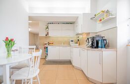 Penthouse 5 camere, 142mp, zona Vlahuta