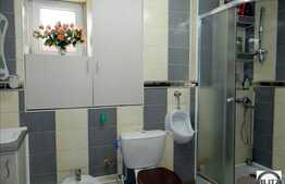 Apartament 4 camere, 100 mp, mobilat dragut, in casa/vila, zona Lidl!