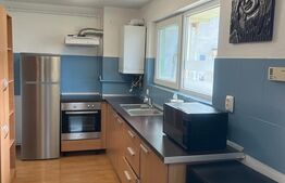 Apartament recent renovat si mobilat, parcare, etaj intermediar, 50 mp , 2 camere, zona Lidl 