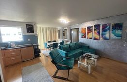 Apartament recent renovat si mobilat, parcare, etaj intermediar, 50 mp , 2 camere, zona Lidl 