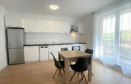 Apartament 2 camere, 45 mp, parcare, boxa, Beta Residence 