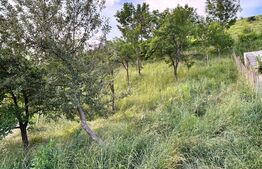 Casa tip duplex, 4 camere, mobilat lux, 176mp, 249mp gradina si livada, garaj, zona Tauti