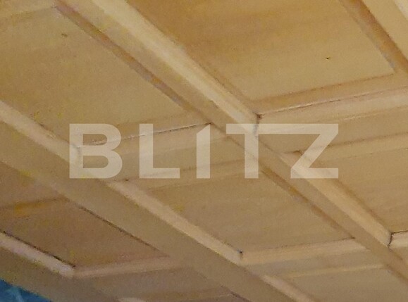 Casa de vânzare 3 camere Central - 118734CV | BLITZ Cluj-Napoca | Poza11