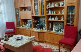 Apartament 2 camere, 47 mp, decomandat, zona Astra