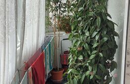 Apartament 2 camere, 47 mp, decomandat, zona Astra