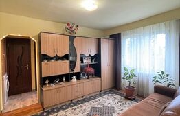 Apartament 2 camere, 45 mp, Aleea Retezat