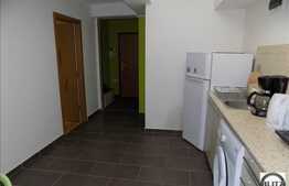 1 camera, 42 mp, imobil nou, mobilat modern, zona UMF!