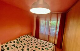 Apartament in vila, 3 camere, gradina, 61mp, 2 parcari, zona Stadionului