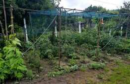 Casa in calcan, 60 mp utili, 396 mp teren, Turda