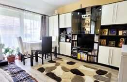 Apartament 2 camere, 43 mp, etaj intermediar, zona Porii