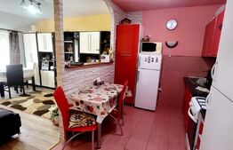 Apartament 2 camere, 43 mp, etaj intermediar, zona Porii