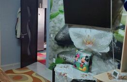 Apartament 3 camere, 58mp, parcare, zona Terra