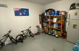 Vila 6 camere, 250mp, teren 917 mp, Andrei Mureșanu