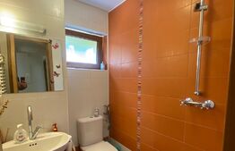 Vila 6 camere, 250mp, teren 917 mp, Andrei Mureșanu