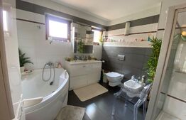 Vila 6 camere, 250mp, teren 917 mp, Andrei Mureșanu