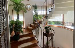 Vila 6 camere, 250mp, teren 917 mp, Andrei Mureșanu