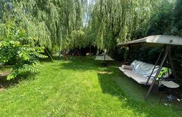 Vila 6 camere, 250mp, teren 917 mp, Andrei Mureșanu