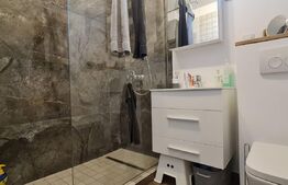 Casa 4 camere, 169mp, zona Marasti