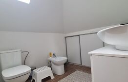 Casa 4 camere, 169mp, zona Marasti