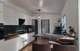 Casa 4 camere, 169mp, zona Marasti