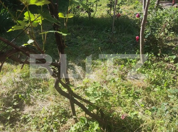 Casa de vânzare 4 camere Sacele - 119186CV | BLITZ Brașov | Poza4