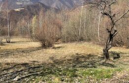 Teren Intravilan, 760MP, pretabil cabana, Somesul Rece