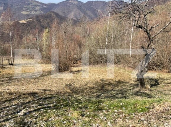 Teren de vânzare Someşu Rece - 119292TV | BLITZ Cluj-Napoca | Poza3