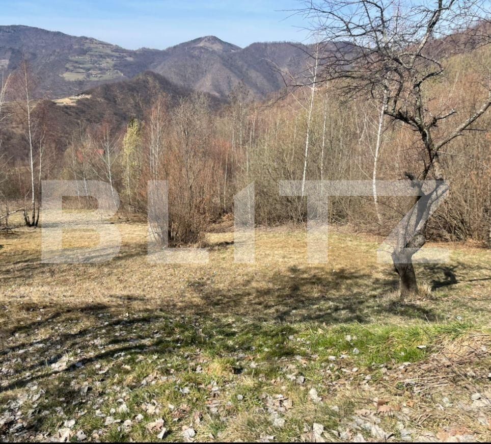 Teren de vânzare Someşu Rece - 119292TV | BLITZ Cluj-Napoca | Poza3