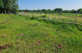 Teren intravilan, 985 mp, utilitati, drum asfaltat, zona Motel Gilau