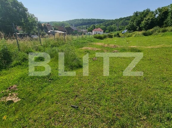Teren de vânzare Gilău - 119304TV | BLITZ Cluj-Napoca | Poza2