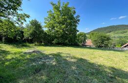 Casa individuala 2 camere, 40mp, 1315 mp curte, zona Garbau