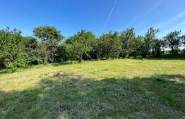 Casa individuala 2 camere, 40mp, 1315 mp curte, zona Garbau